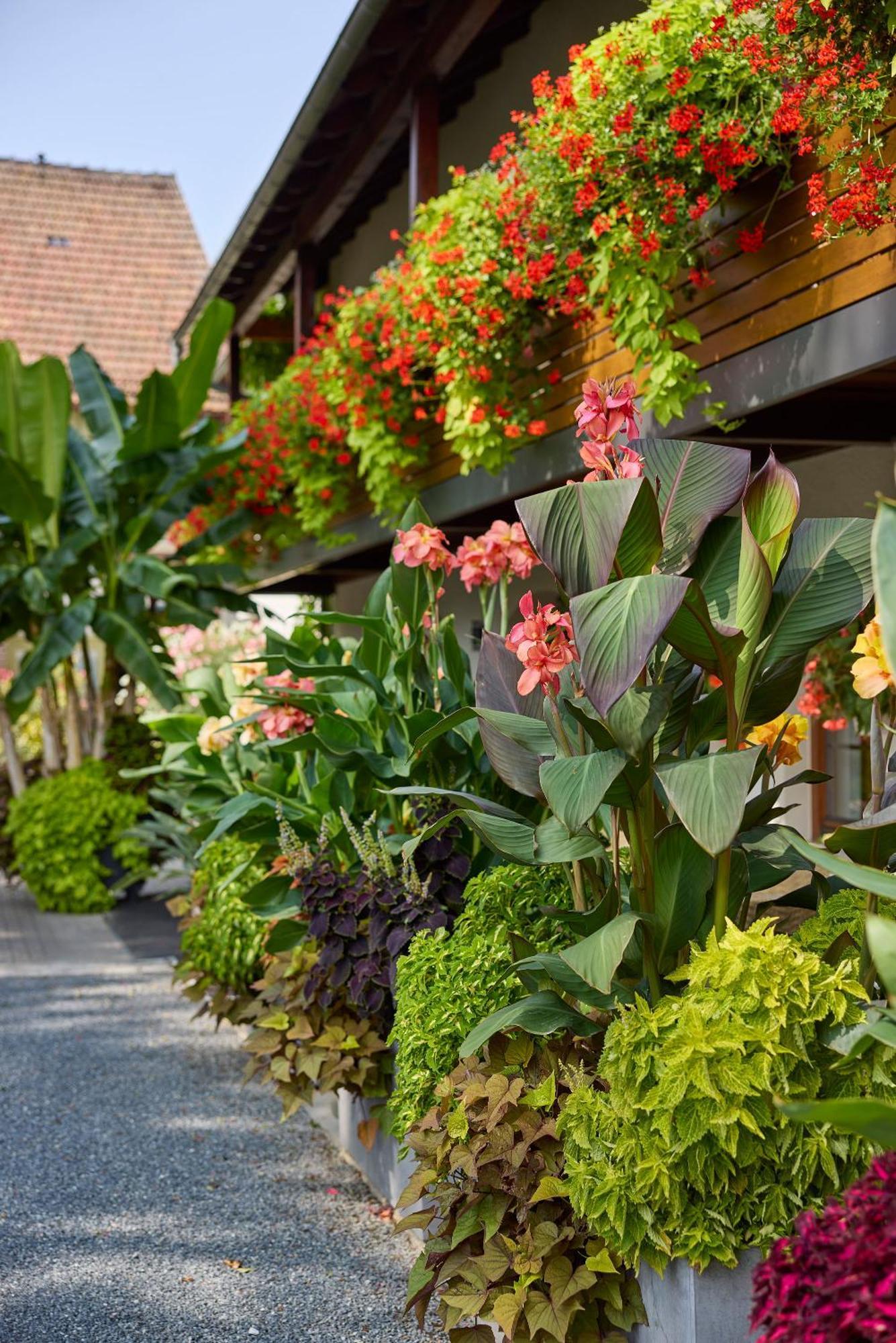 Hotel garni Sonnenhof Reichenberg  Eksteriør bilde
